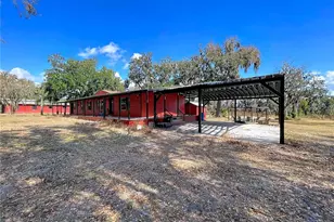 15210 Rough Diamond Ranch Rd, Lithia, FL 33547 - Photo 12