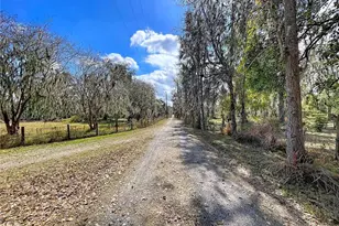 15210 Rough Diamond Ranch Rd, Lithia, FL 33547 - Photo 20