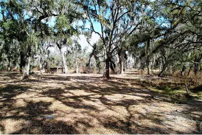 15210 Rough Diamond Ranch Road, Lithia, FL 33547 - Photo 28