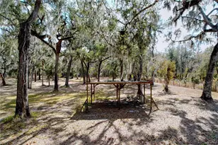 15210 Rough Diamond Ranch Rd, Lithia, FL 33547 - Photo 26