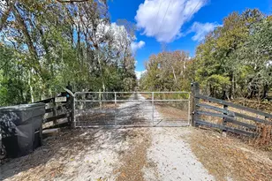 15210 Rough Diamond Ranch Rd, Lithia, FL 33547 - Photo 2