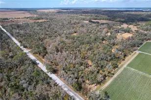 15210 Rough Diamond Ranch Rd, Lithia, FL 33547 - Photo 22