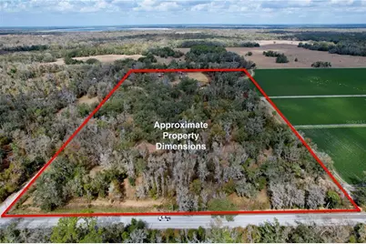 15210 Rough Diamond Ranch Road, Lithia, FL 33547 - Photo 68