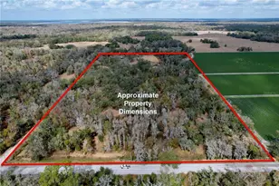 15210 Rough Diamond Ranch Rd, Lithia, FL 33547 - Photo 68