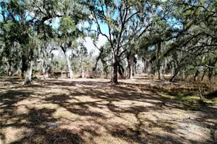 15210 Rough Diamond Ranch Rd, Lithia, FL 33547 - Photo 76