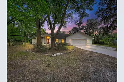 8402 Southwood Pines Street, Lithia, FL 33547 - Photo 1