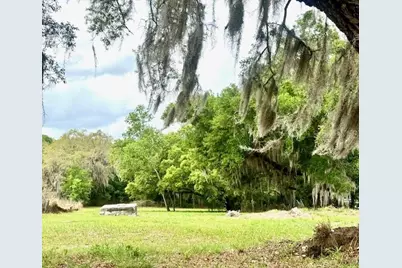 1031 Orange Boulevard, Polk City, FL 33868 - Photo 1
