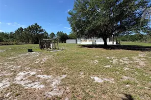 10628 Sportsman Trail, Lakeland, FL 33809 - Photo 14