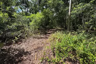 12708 Farmettes Rd, Lakeland, FL 33809 - Photo 30