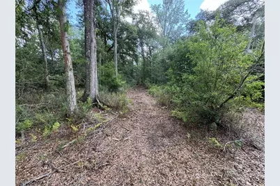 12708 Farmettes Road, Lakeland, FL 33809 - Photo 26