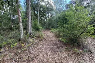 12708 Farmettes Rd, Lakeland, FL 33809 - Photo 26