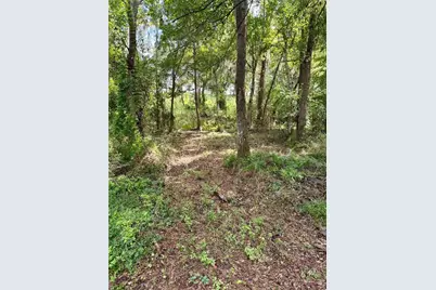 701 Brooke Road, Fort Meade, FL 33841 - Photo 6