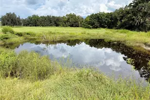 701 Brooke Rd, Fort Meade, FL 33841 - Photo 1