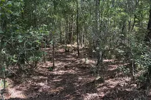 861 Saddlewood Blvd, Lakeland, FL 33809 - Photo 24