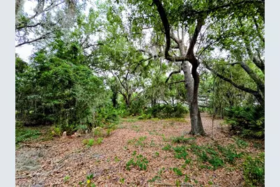 Avon-Park Cutoff Road, Fort Meade, FL 33841 - Photo 4