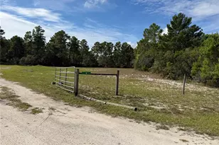 6 Sugar Pine Loop, Lake Wales, FL 33898 - Photo 26