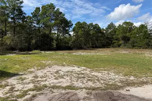 6 Sugar Pine Loop, Lake Wales, FL 33898 - Photo 18