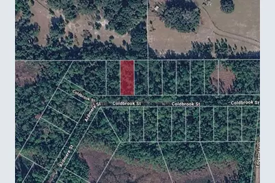 116 Coldbrook Street, Georgetown, FL 32139 - Photo 1