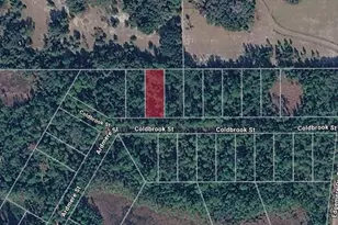 116 Coldbrook St, Georgetown, FL 32139 - Photo 1