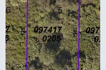 Bessemer Avenue, North Port, FL 34287 - Photo 2