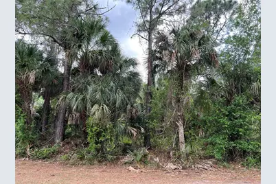 Vogler Lane, North Port, FL 34286 - Photo 4