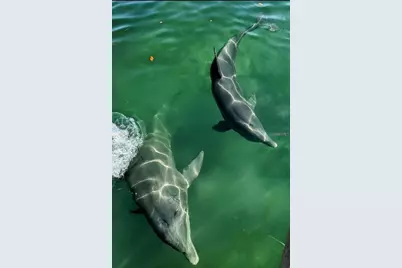 1292 Eppinger Drive, Port Charlotte, FL 33953 - Photo 30