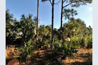 Lot 11 Sheno Drive, North Port, FL 34288 - Photo 2