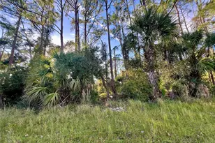 Lummus St, North Port, FL 34286 - Photo 1