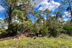 12334 Hindle Ave, Punta Gorda, FL 33955 - Photo 1