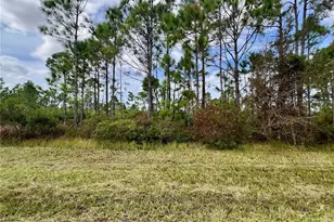 451 Fellenz St, Port Charlotte, FL 33953 - Photo 1