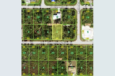 12438 Deepwoods Avenue, Port Charlotte, FL 33981 - Photo 1