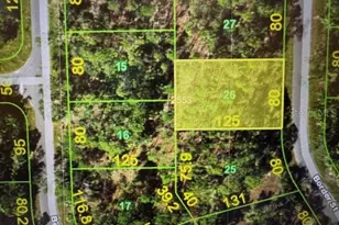 1125 Border St, Port Charlotte, FL 33953 - Photo 1