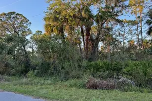 14103 Carrie Ave, Port Charlotte, FL 33953 - Photo 1