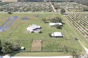 42 Clubhouse Rd, Venus, FL 33960 - Photo 30