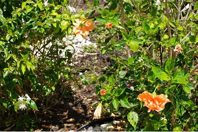 25115 Esmeralda Court, Punta Gorda, FL 33955 - Photo 50