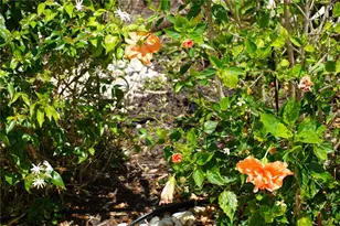 25115 Esmeralda Ct, Punta Gorda, FL 33955 - Photo 50