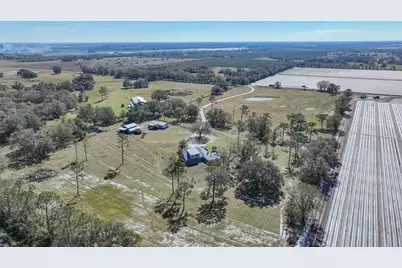 3150 Schontag Road, Wauchula, FL 33873 - Photo 52
