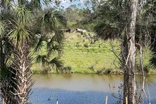 1818 New London St, North Port, FL 34288 - Photo 36