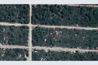 3430 Cliff Swallow Street, Lake Placid, FL 33852 - Photo 6