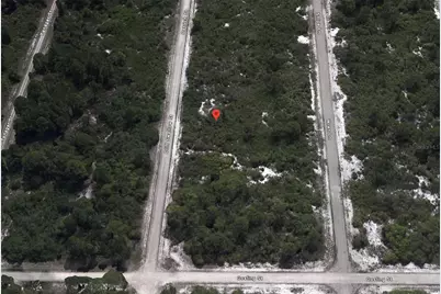 3430 Cliff Swallow Street, Lake Placid, FL 33852 - Photo 2