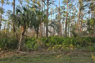 12522 Ranch Ave, Port Charlotte, FL 33953 - Photo 1