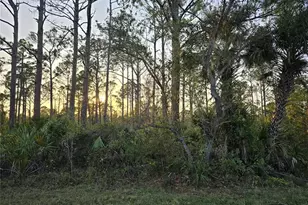 2497 Hoover St, Port Charlotte, FL 33953 - Photo 1