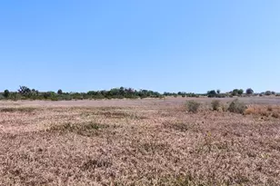 Amber Bell Trail, Lake Placid, FL 33852 - Photo 16