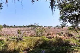 Amber Bell Trail, Lake Placid, FL 33852 - Photo 14