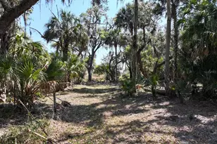 Amber Bell Trail, Lake Placid, FL 33852 - Photo 2