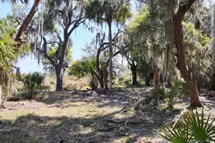 Amber Bell Trail, Lake Placid, FL 33852 - Photo 12