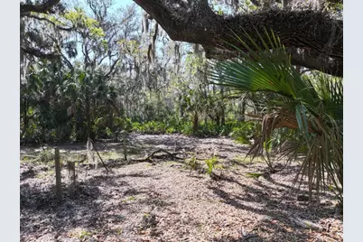 Amber Bell Trail, Lake Placid, FL 33852 - Photo 4