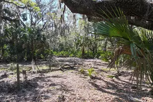 Amber Bell Trail, Lake Placid, FL 33852 - Photo 4