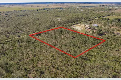 50448 Bermont Road, Punta Gorda, FL 33982 - Photo 6