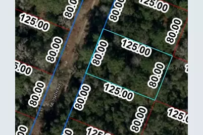 Tbd NE 154 Avenue, Williston, FL 32696 - Photo 2